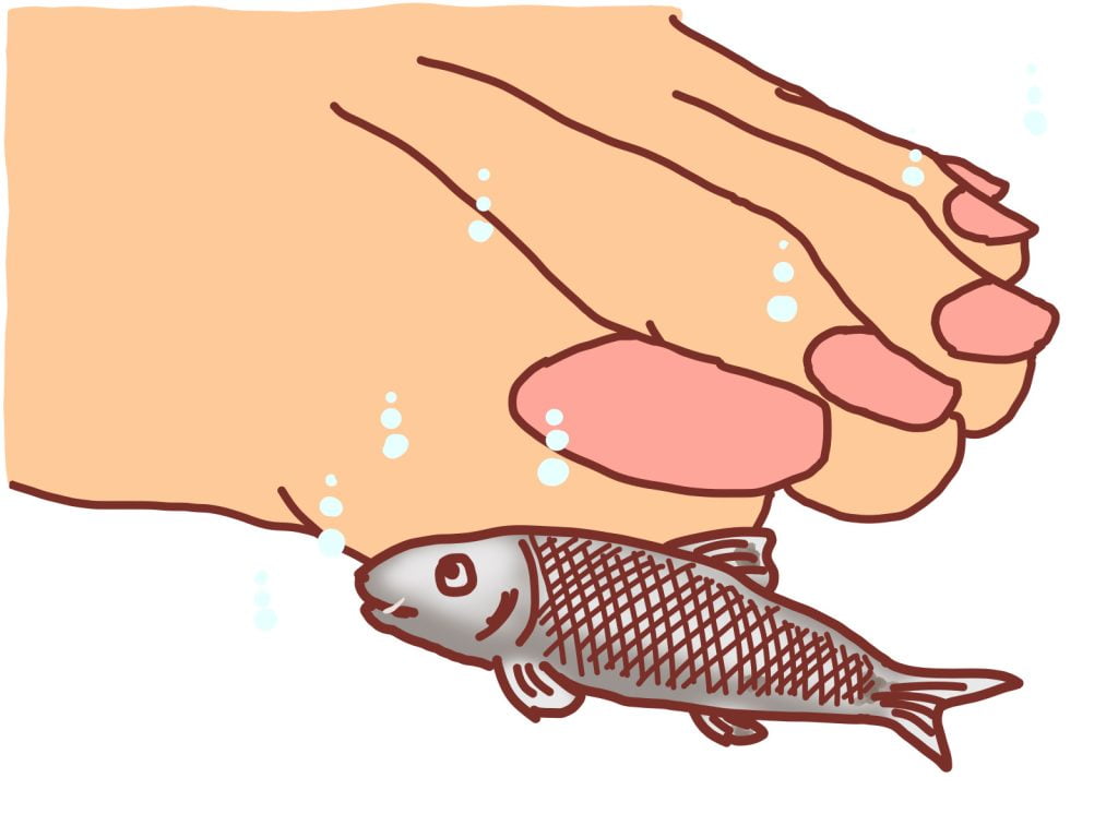 足の角質を食べる理由とその仕組み：ドクターフィッシュの行動の秘密